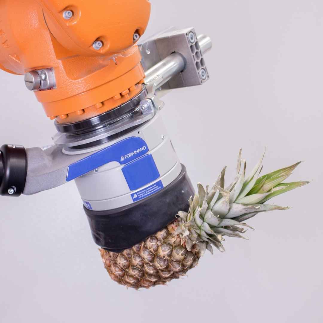 FH-R15 greift Ananas